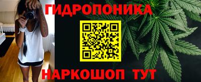 прущие грибы Будённовск